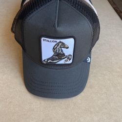 Goorin Bros Snapback Hat $40 Each 