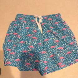 Pink Flamingo Chubbie Swim Shorts
