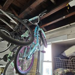 Schwinn Deelite 20" With Training Handle