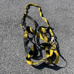 Velocity Harness