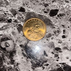 Rare One Dollar Coin