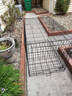 Dog Cage