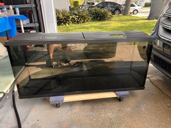 55 Gallon Fish Tank 