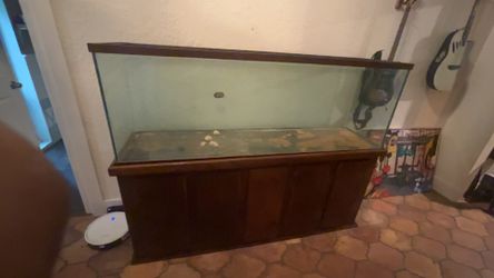 Aquarium//Terrarium