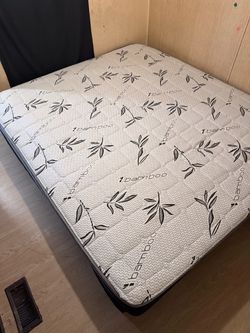 Free King Mattress