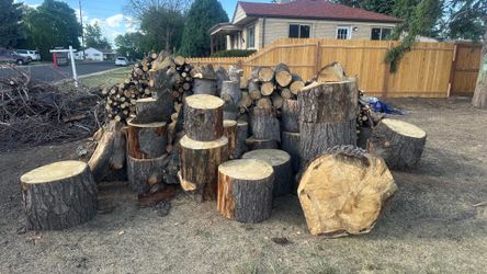 Wood (hardwood)