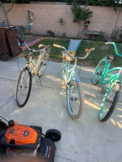 Adult bikes