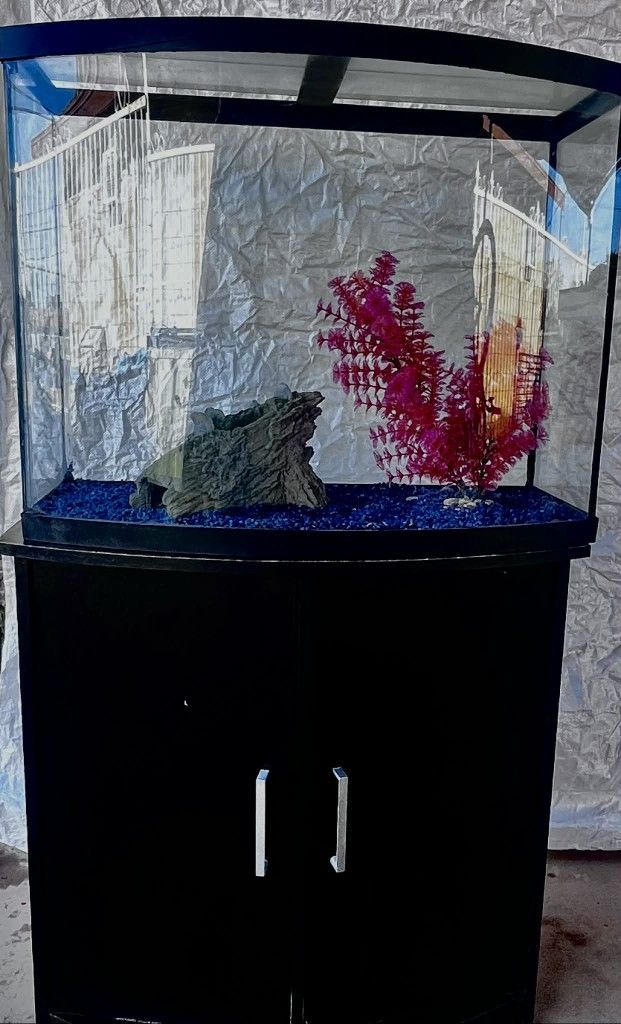Fish Tank And Stand