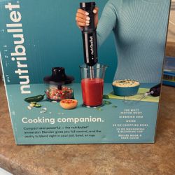 Immersion Blender 