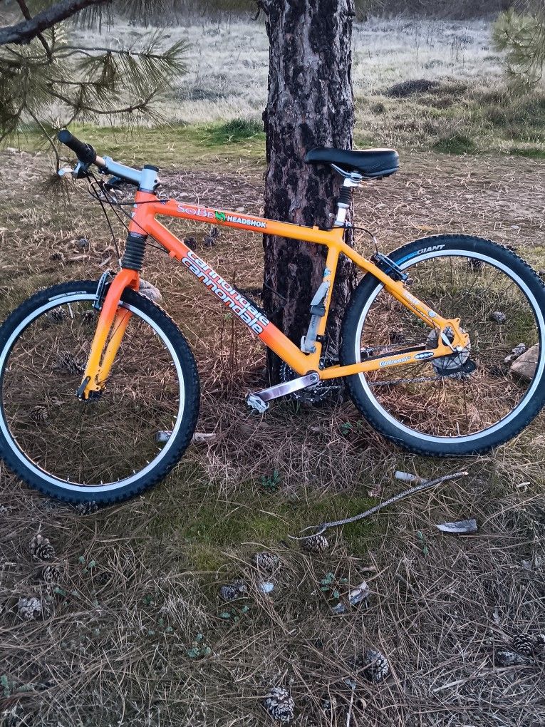Rare Cannondale Sobe Headshok