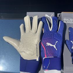Goalie Gloves