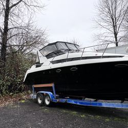 1991 Baylainer Avanty