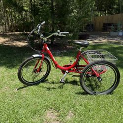 2019 Adult Trike