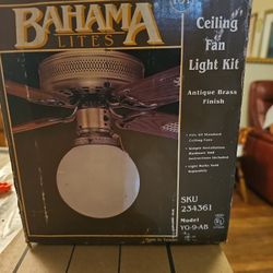 Fan Light Kit