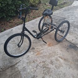 3 Wheel Bicycle