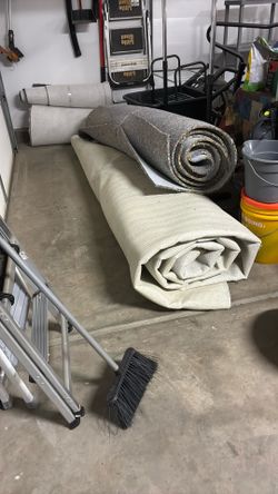 Gray Carpet And Paddy