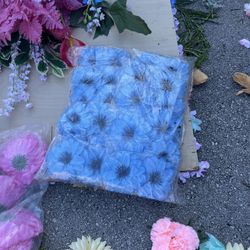 Flores Para Decoración 