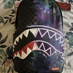 Hard New Sprayground Bag 