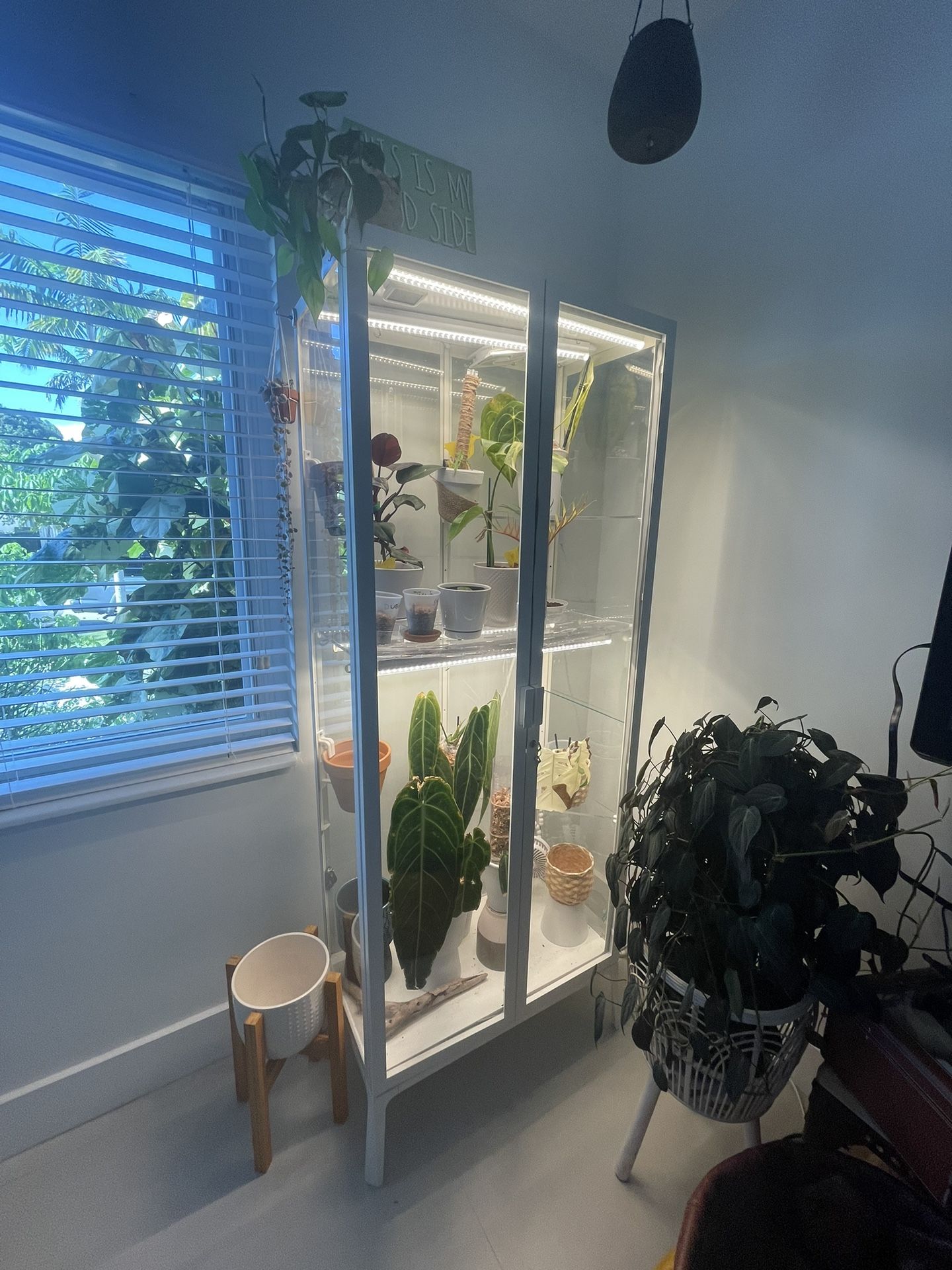 Ikea Greenhouse Cabinet