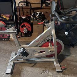 Sunny Excerise Bike