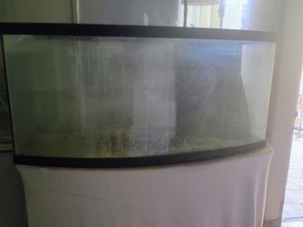 Fish tank, pesera