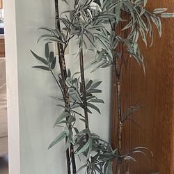 Faux Bamboo plant