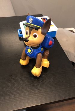 Paw patrol