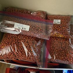 Chiltepin Sonorense