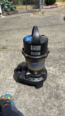 ShinMaywa 50CR2.25S-1 Submersible Pump 1/3HP 115V Stainless Steel 2in 1-Phase