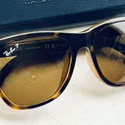 Rayban Wayfarer Polarized Sunglasses 