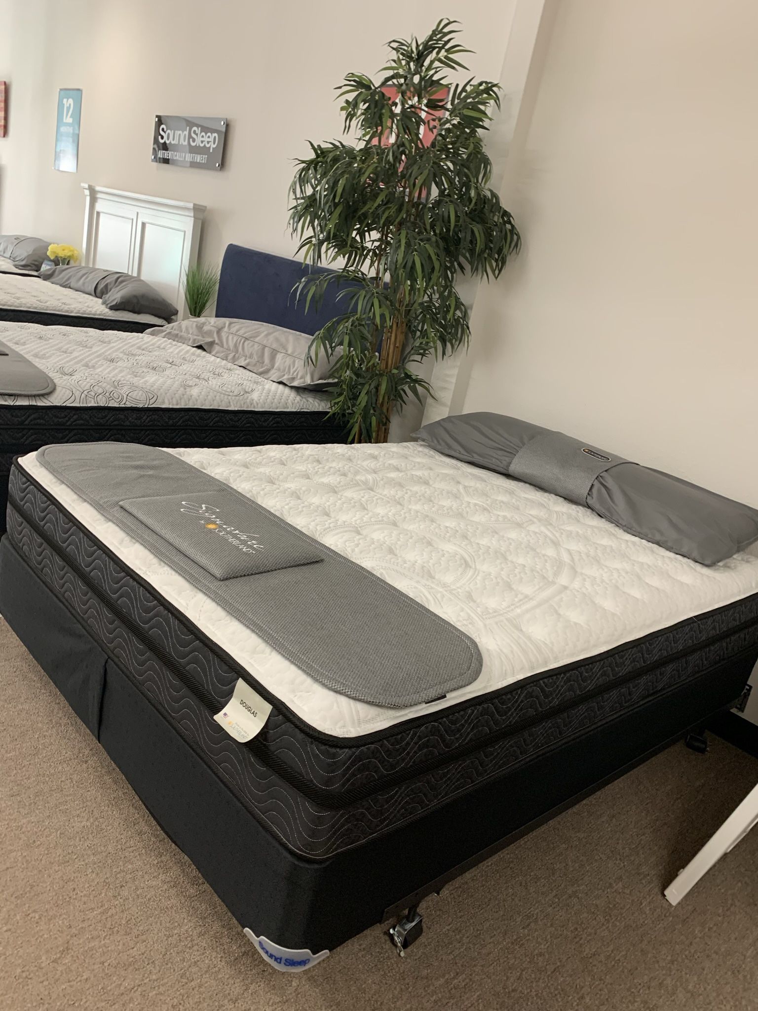 Free Pillow If You Show Up For An Appointment!!