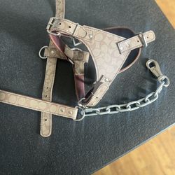Coach Harness New