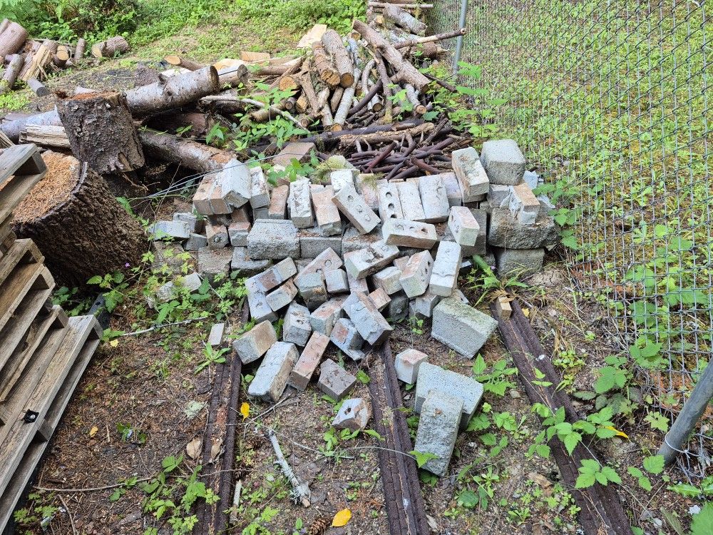 FREE!!!!! USED BRICKS