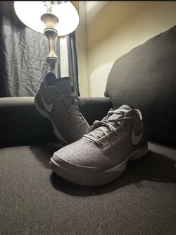 SIZE 11 BEST OFFER TAKES IT (BRAND NEW Nike Zoom LeBron NXXT Gen 'Wolf Grey') NO BOX