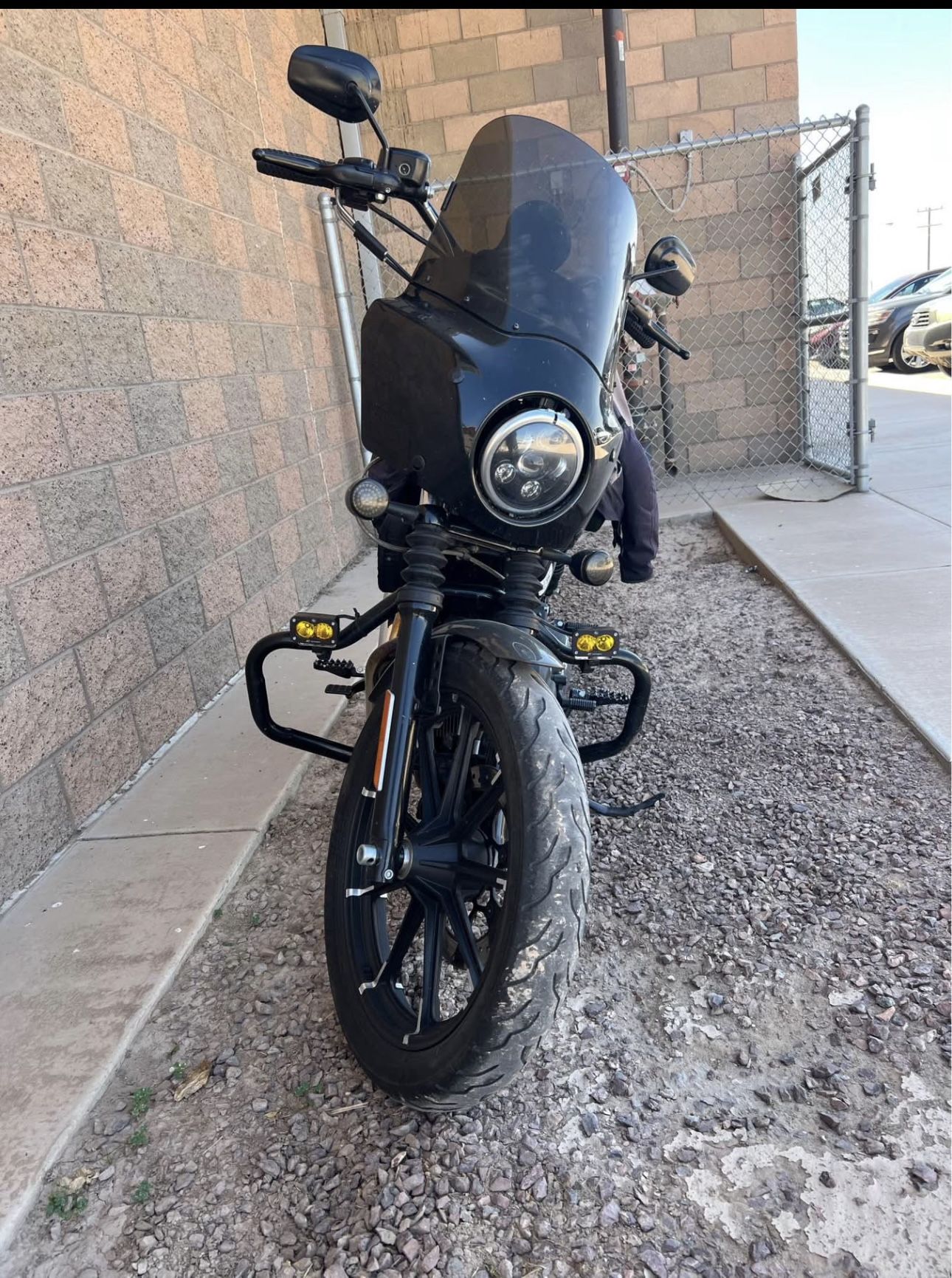 2019 Harley Davidson Sportster 1200