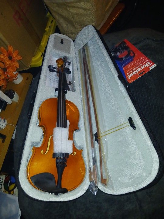 Violin