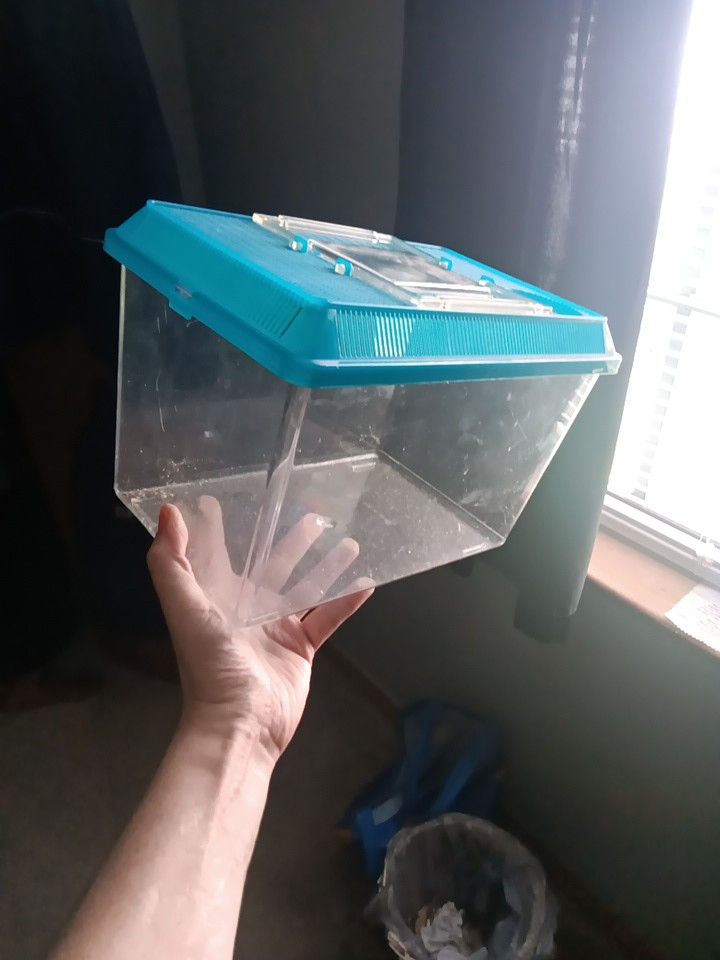 New Plastic Terrarium