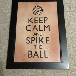 Keep Calm Volleyball Framed Picture