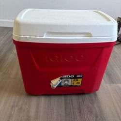 Igloo Cooler
