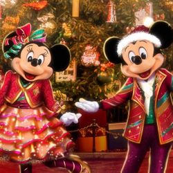 Disneyland Holidays 
