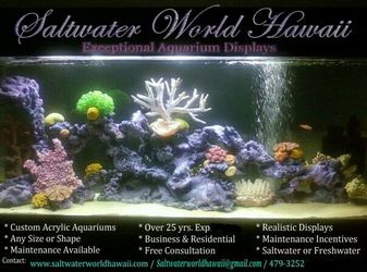 Custom Reef & Coral Displays!