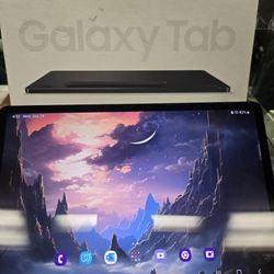 Samsung Galaxy Tab S7 Fe 5g 