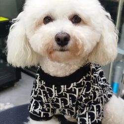Designer Dog/Cat Sweater Clothes