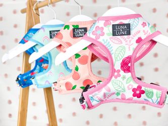 Dog Harness, collars and leashes