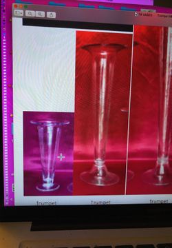 Trumpet vases. Wedding decorations decor floral