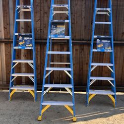 8ft Werner Ladder 250lb Load Capacity