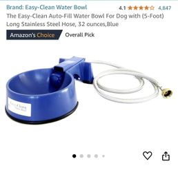 Dog Bowl