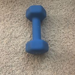 8lb Dumbbell (One) 