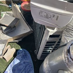 Complete grown with lots of chemicals