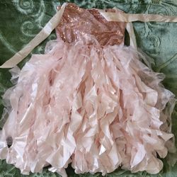 Rose Gold Dress 